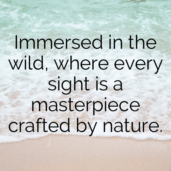 Wildlife Safari Captions Photo for Instagram-tyj6B4