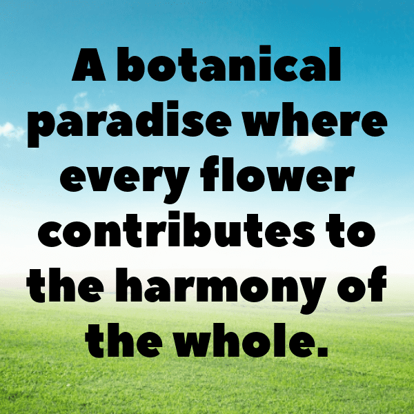 Wishbone Flower Captions Image For Instagram-0RD1zL