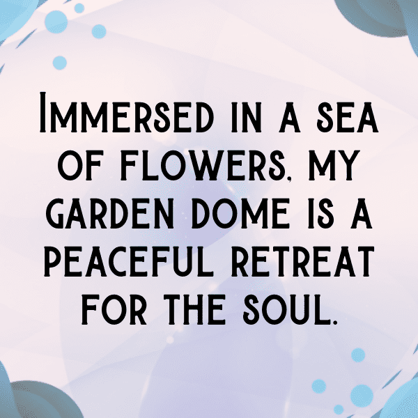 Wishbone Flower Captions Image For Instagram-W8uBiv