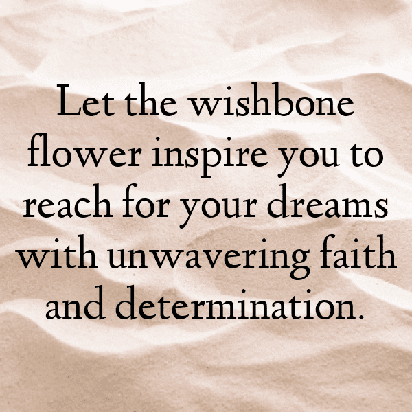 Wishbone Flower Captions Photo For Instagram-7nKXZl