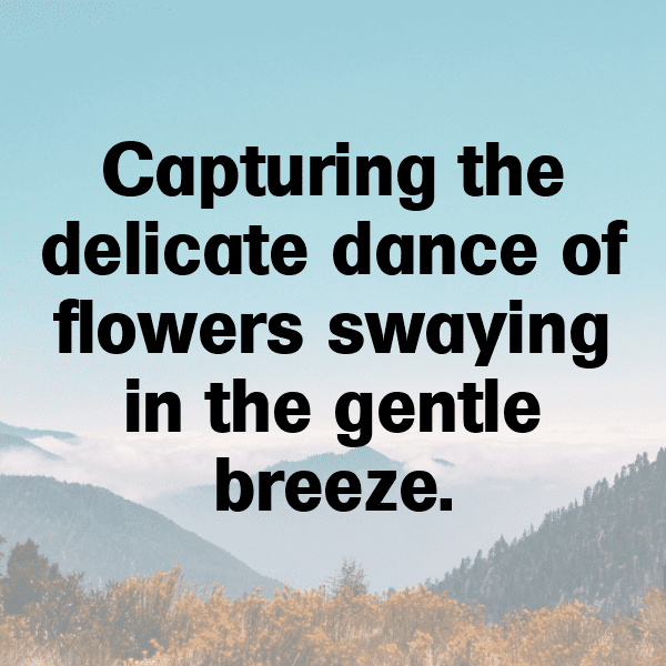 Wishbone Flower Captions Photo For Instagram-844Xby