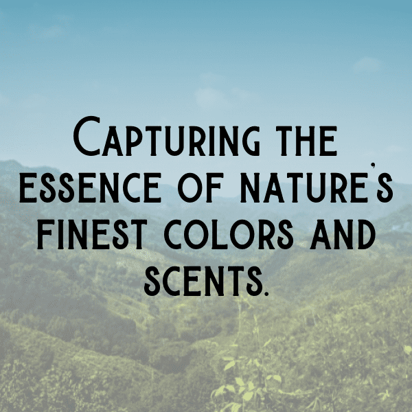 Wishbone Flower Captions Photo For Instagram-G0iY1L