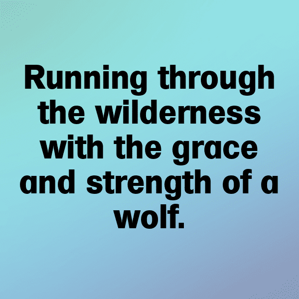 Wolf Captions Image For Instagram-roRmLW