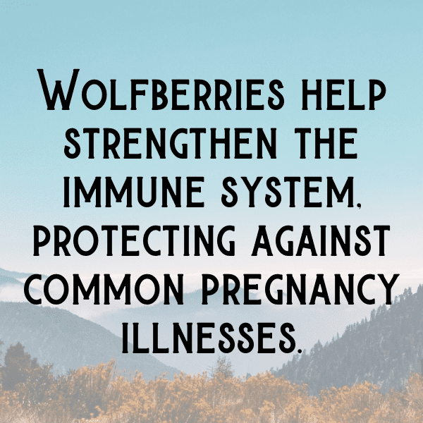 Wolfberry Captions Image For Instagram-LueiUo