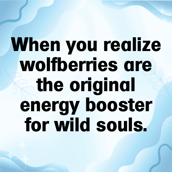 Wolfberry Captions Photo For Instagram-kFOvsm