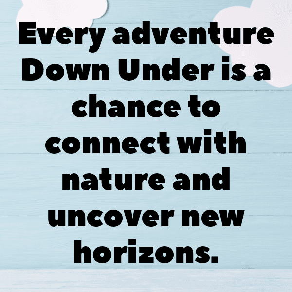 Wombat Captions Image For Instagram-IpRTVF