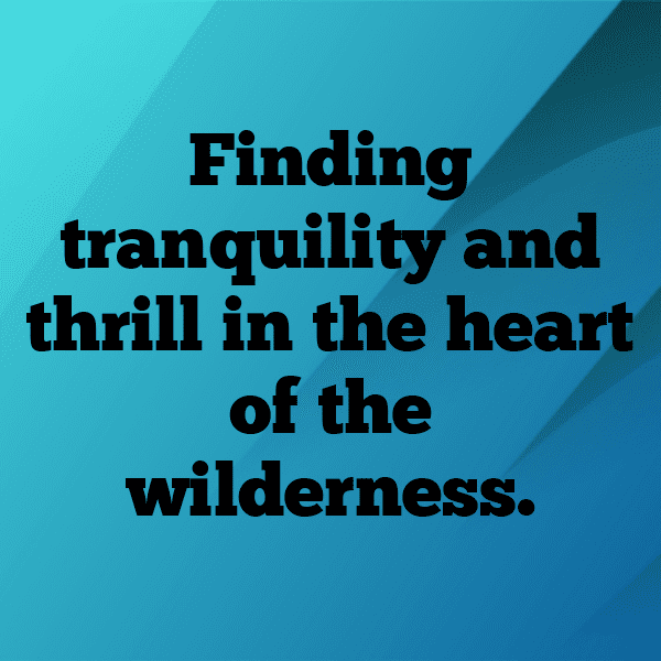 Woodland Adventure Captions Image for Instagram-bvRRpH