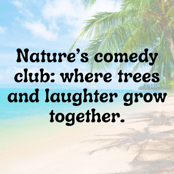 Woodland Adventure Captions Image for Instagram-tXoM9h