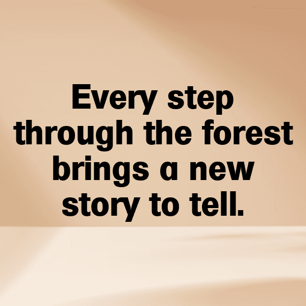 Woodland Adventure Captions Photo for Instagram-T3JCrh