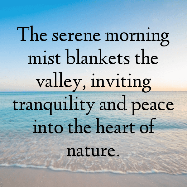 Woodland Adventure Captions Photo for Instagram-wAtVwL