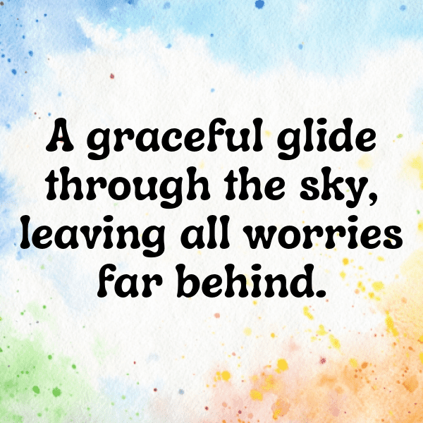 Woodpecker Captions Image For Instagram-H8kWOk