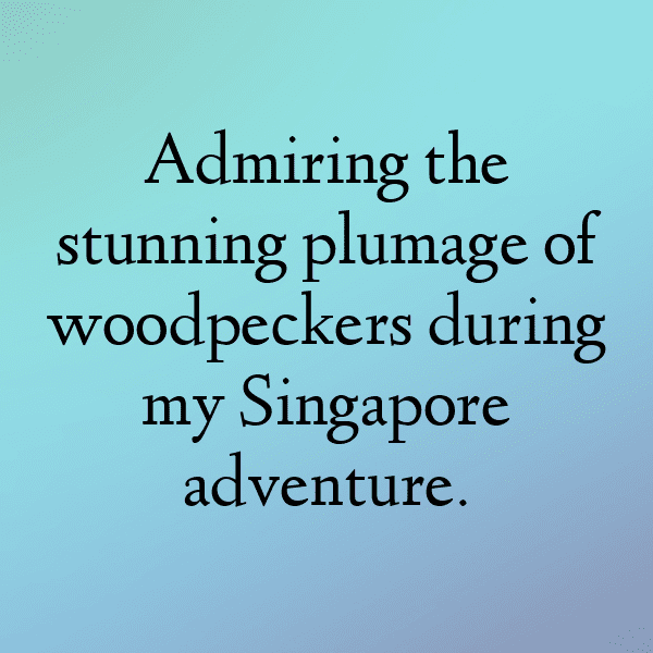 Woodpecker Captions Image For Instagram-hMigIR