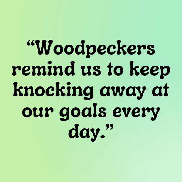 Woodpecker Captions Photo For Instagram-xdhwvd
