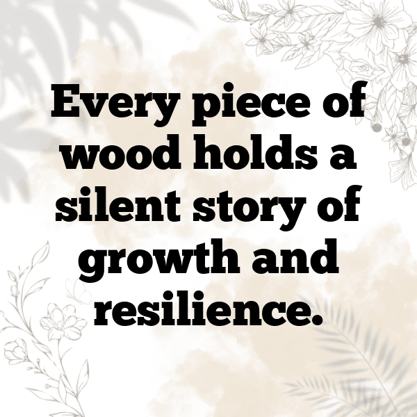 Woodpecker Captions Photo For Instagram-ykuSjO