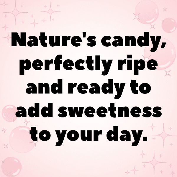 Xigua Captions Photo For Instagram-6QdXDO