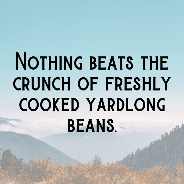 Yardlong Bean Captions Image For Instagram-GDcNSo