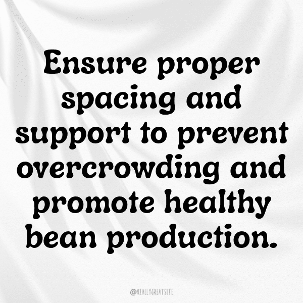 Yardlong Bean Captions Image For Instagram-vZ1eKd