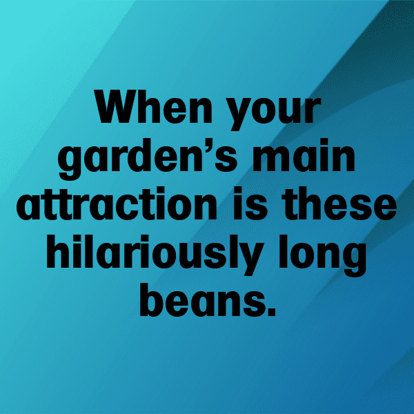 Yardlong Bean Captions Photo For Instagram-ULtU9G