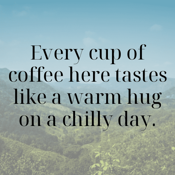 Yardlong Bean Captions Photo For Instagram-yLIHu9