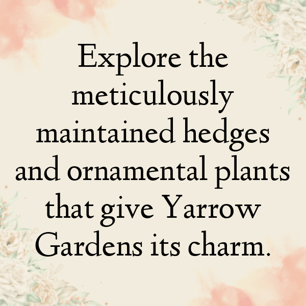 Yarrow Captions Image For Instagram-Hdthx7