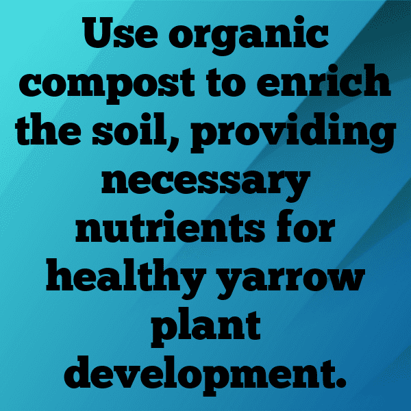 Yarrow Captions Image For Instagram-tRuBVB