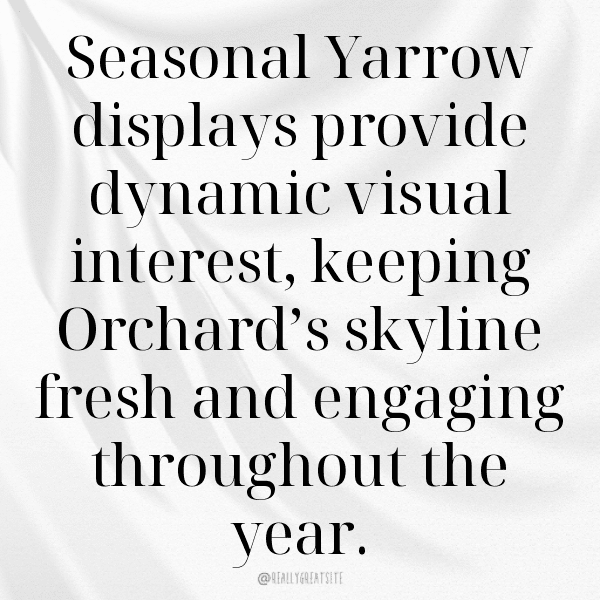 Yarrow Captions Photo For Instagram-J9YF55