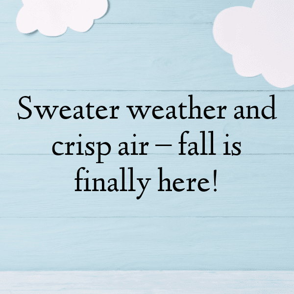 Yellow Squash Captions Image For Instagram-rjyMbJ