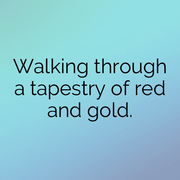 Yellow Squash Captions Image For Instagram-xYVlkg