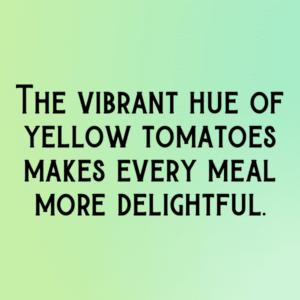 Yellow Tomato Captions Photo For Instagram-m1DCRQ