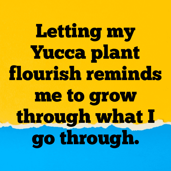 Yucca Captions Image For Instagram-eVm0yC