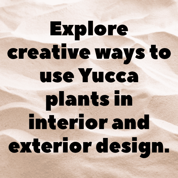 Yucca Captions Image For Instagram-ybp3jJ