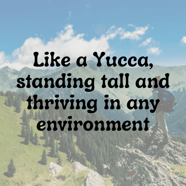 Yucca Captions Photo For Instagram-lZjsiq