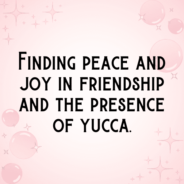 Yucca Captions Photo For Instagram-xBQZoB