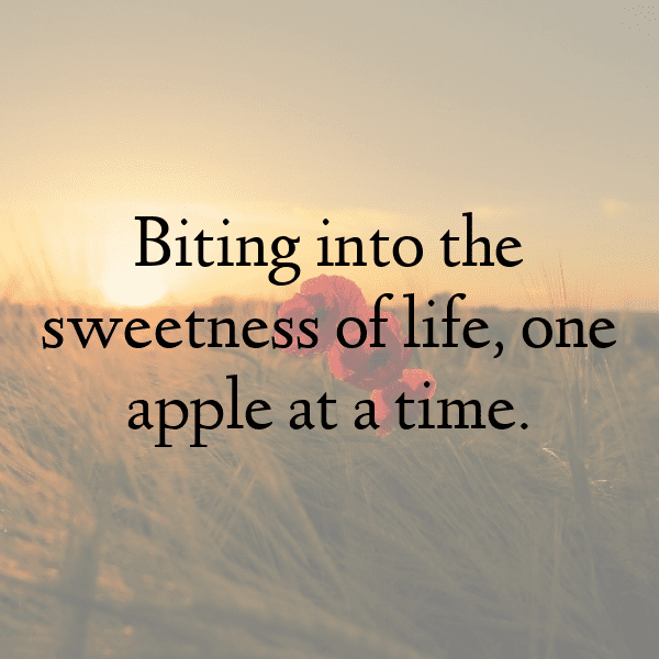 Zabergau Apple Captions Photo For Instagram-csciSh