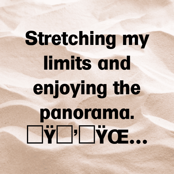 Zebra Captions Photo For Instagram-5gwTN3