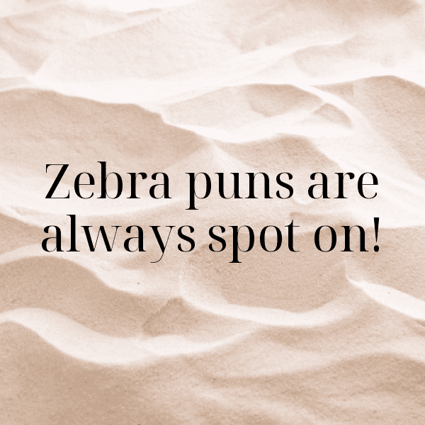 Zebra Captions Photo For Instagram-nk7vkN