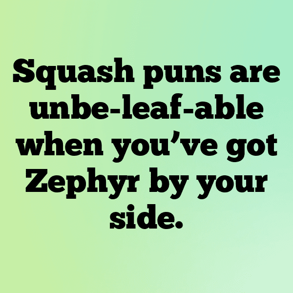 Zephyr Squash Captions Photo For Instagram-bBdEjy