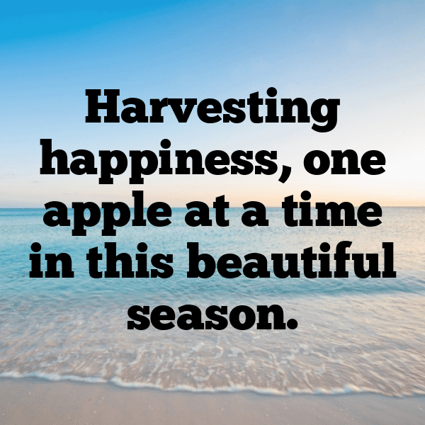 Zestar Apple Captions Image For Instagram-4WzoZC