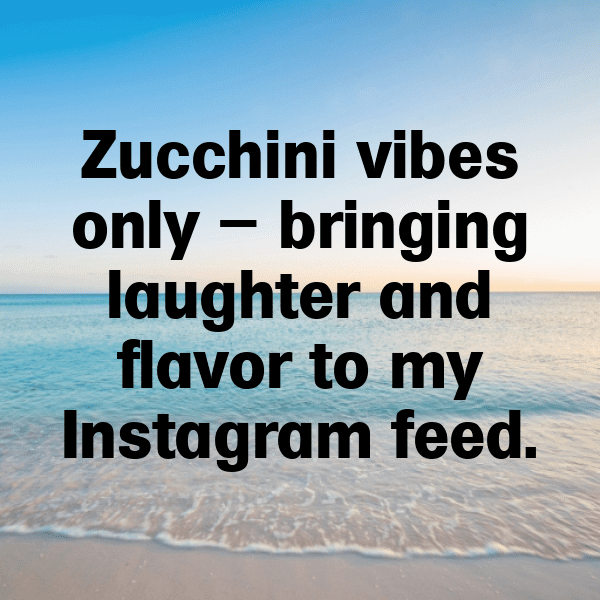 Zestful Zucchini Captions Image For Instagram-iGlv0j