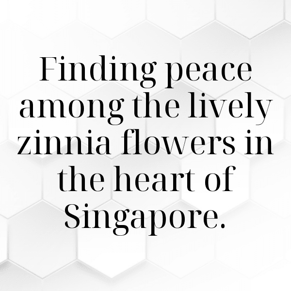 Zinnia Captions Image For Instagram-AOIeUZ