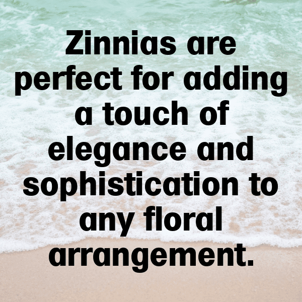Zinnia Captions Image For Instagram-DvmiE7