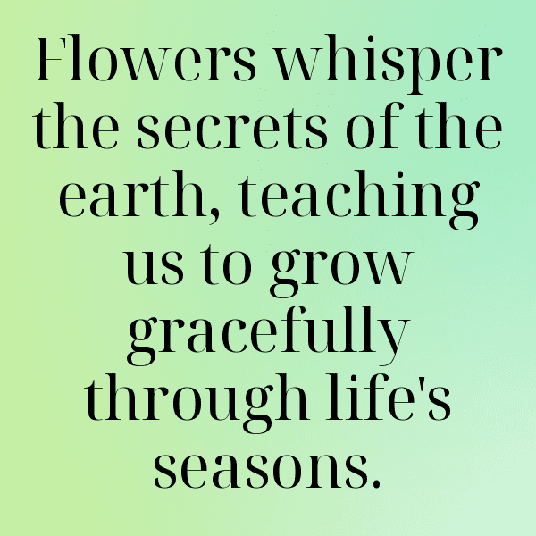 Zinnia Captions Image For Instagram-NdIubL