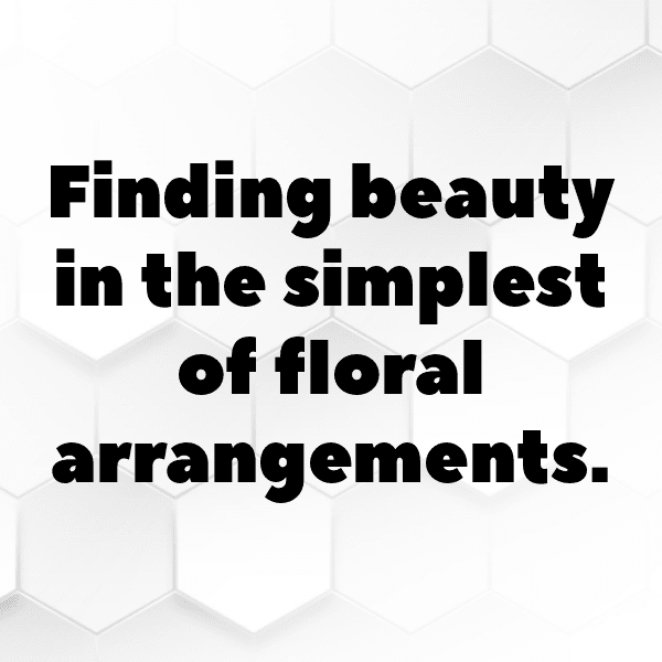 Zinnia Captions Image For Instagram-pGHHZL