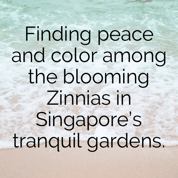 Zinnia Captions Image For Instagram-Rc5S0w