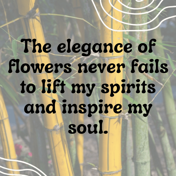 Zinnia Captions Image For Instagram-wRV3E6