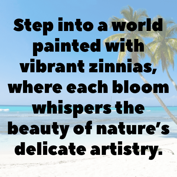 Zinnia Captions Photo For Instagram-r879oN