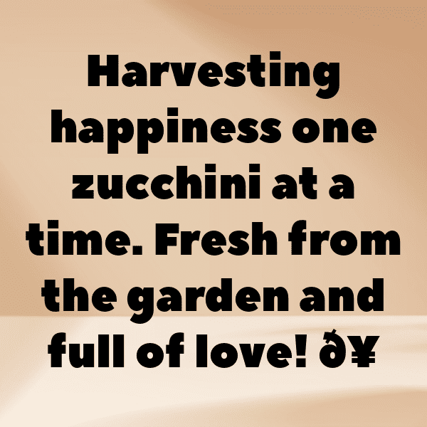 Zucchini Captions Photo For Instagram-euAKnv