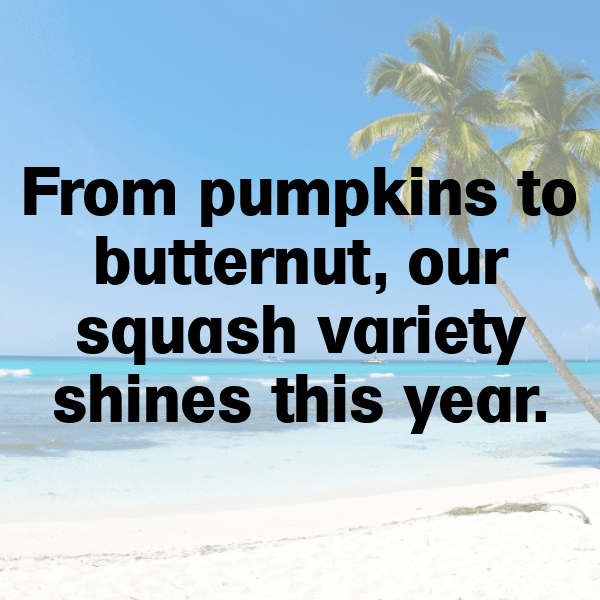 Zucchini Captions Photo For Instagram-H6jSUa