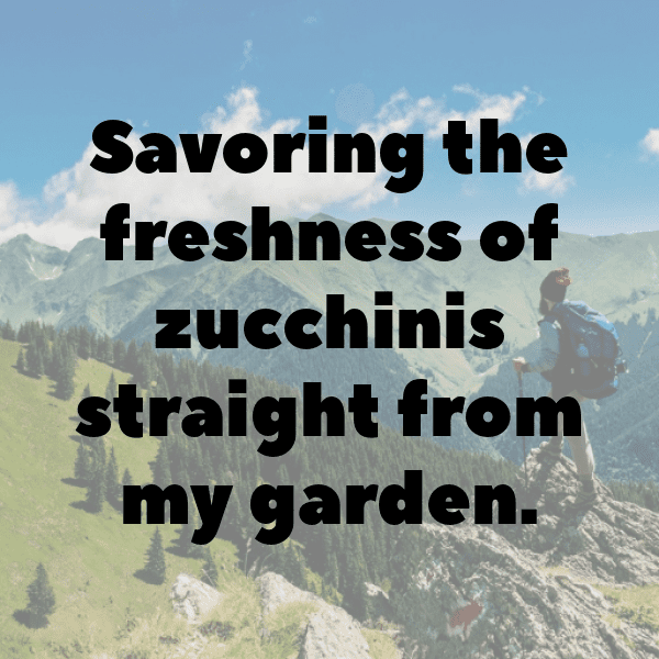 Zucchini Captions Photo For Instagram-rbIhhD