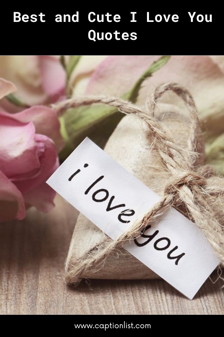 40+ Best and Cute I Love You Quotes - CaptionList